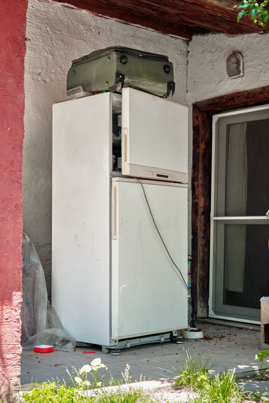 Freezer Removal detail